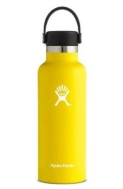 Hydro Flask 18 Oz Standard Mouth Bottles W/ Flex Cap (S18SX) -Running Sports Store s l500