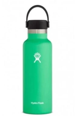 Hydro Flask 18 Oz Standard Mouth Bottles W/ Flex Cap (S18SX) -Running Sports Store s18sx2 spearmint