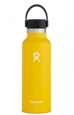 Hydro Flask 18 Oz Standard Mouth Bottles W/ Flex Cap (S18SX) -Running Sports Store s18sx2 sunflower